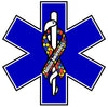 AUTISM AWARENESS STAR OF LIFE WINDOW DECAL