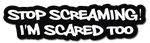 STOP SCREAMING I'M SCARED TOO HELMET DECAL