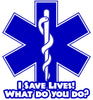 I SAVE LIVES WHAT DO YOU DO? EMS WINDOW DECAL
