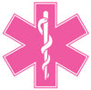 PINK STAR OF LIFE REFLECTIVE WINDOW DECAL